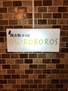 爬虫類BAR OUROBOROS 【ウロボロス】 