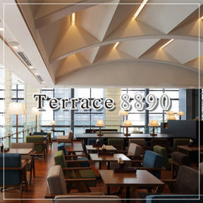 Terrace 8890 
