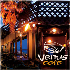 Venus Cafe 