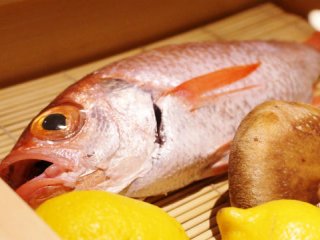 高級魚「のどぐろ」食べ尽くし！銀座の新店で夢ののどぐろ三昧の記事で紹介されました