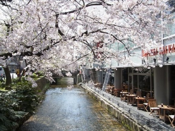 京都の桜スポットでお花見ランチ！使えること間違いなしの5軒の記事で紹介されました